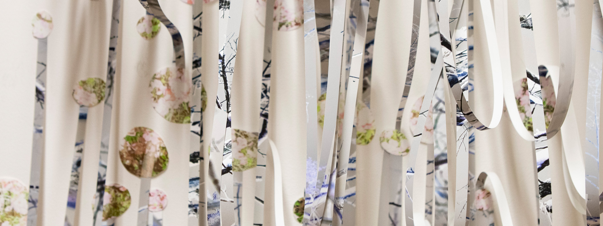 Photomedia junior class project