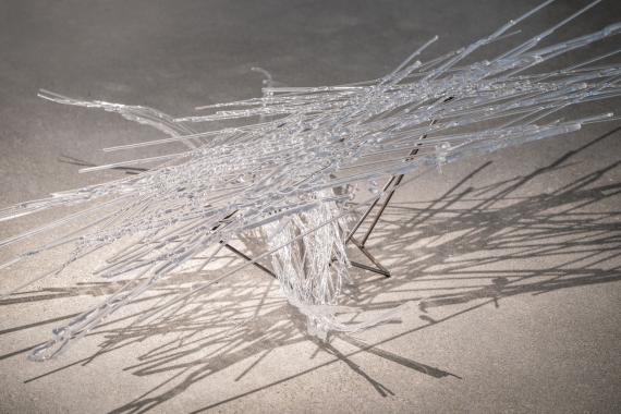 Glass sculptural artwork by Stephanie Alacon