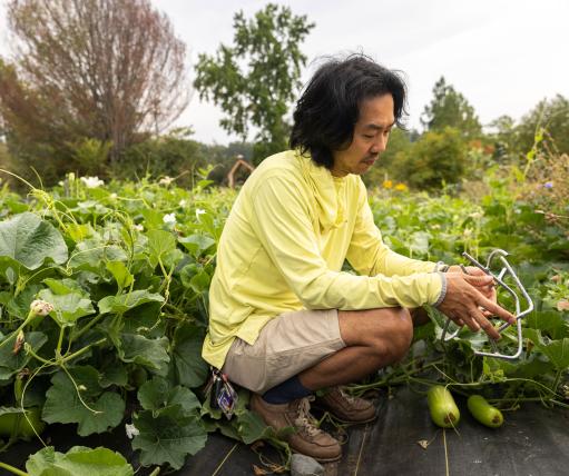 Rob Rhee tending to his gourds at UW Farm