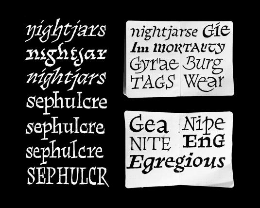 Journal spreads of different hand-drawn words