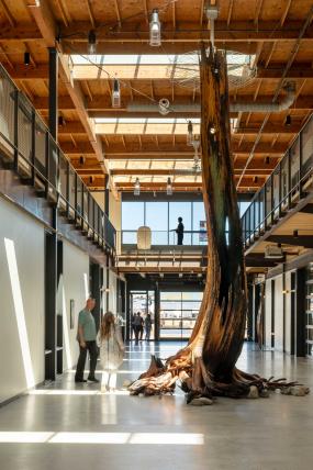 Inside the new Traver Gallery. Photo cortesy of the UW Magazine.