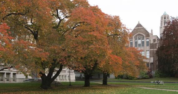 Autumn leaves and Art Building