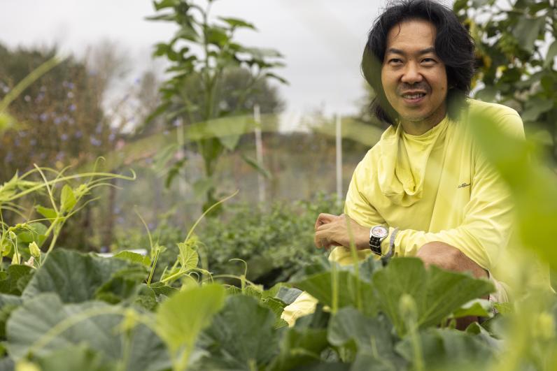 Rob Rhee tending to his gourds at UW Farm