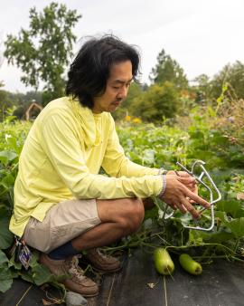 Rob Rhee tending to his gourds at UW Farm