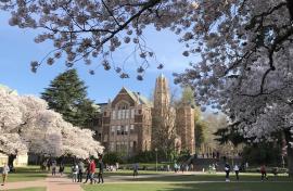 Art Building framed by blooming cherry trees