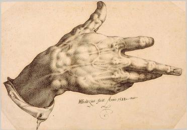 A drawing of Goltzius's Right Hand 1580