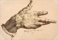 A drawing of Goltzius's Right Hand 1580