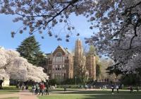 Art Building framed by blooming cherry trees