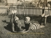 Still image of two people lying on grass from Notes from the Panorama