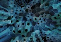 Lumen by Jenny Sabin Studio