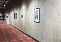 Part of Meany Center exhibition, 2017–2018