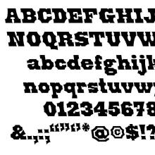 Christine Watridge, Spur, Type Specimen, 2022 Overview of type specimen