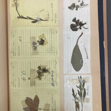 Bruseth - UW Special Collections
