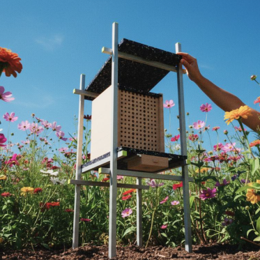 Heroshot of NuBee placed in a flower field