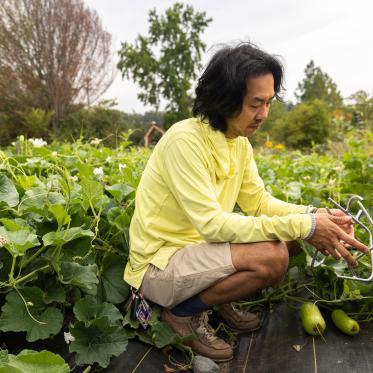 Rob Rhee tending to his gourds at UW Farm