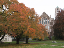 Autumn leaves and Art Building